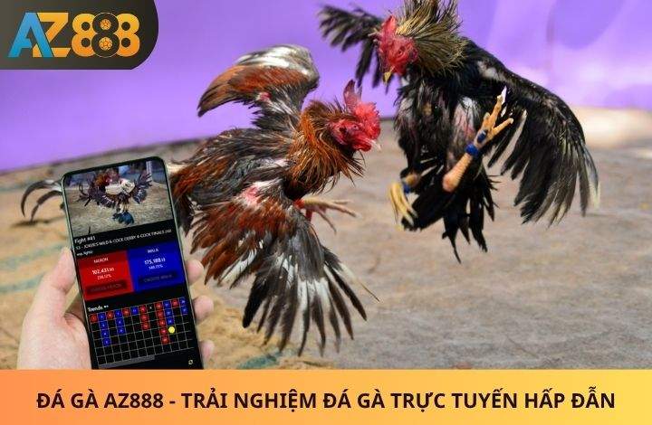 Giới thiệu về Đá Gà AZ888 Giới thiệu về Đá Gà AZ888